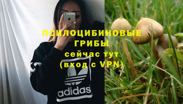 бошки Карталы