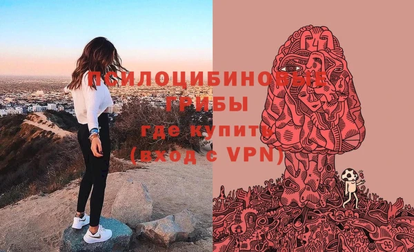дурь Кинешма