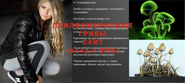 сатива Туринск