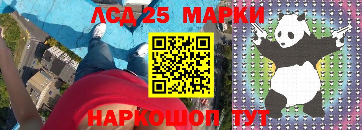 Бердск  Лсд 25 экстази кислота  Вход с VPN  KRAKEN маркетплейс  ЛСД экстази кислота 