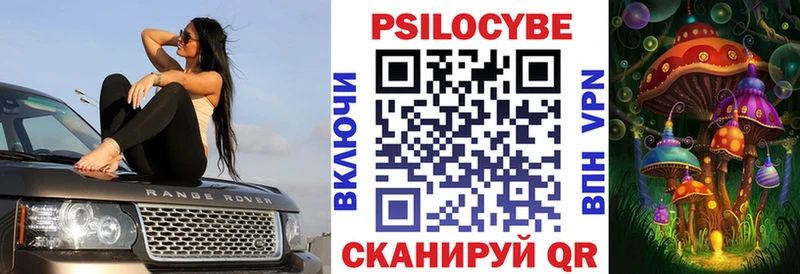 гидра ссылка  Бердск  Галлюциногенные грибы Psilocybe 