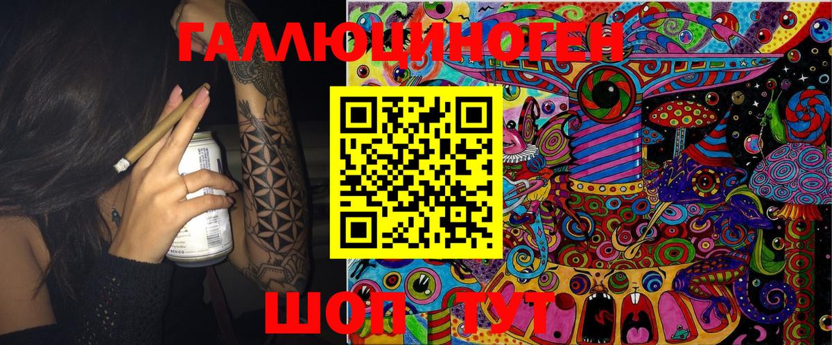 Псилоцибиновые грибы прущие грибы  Бердск  Галлюциногенные грибы GOLDEN TEACHER 