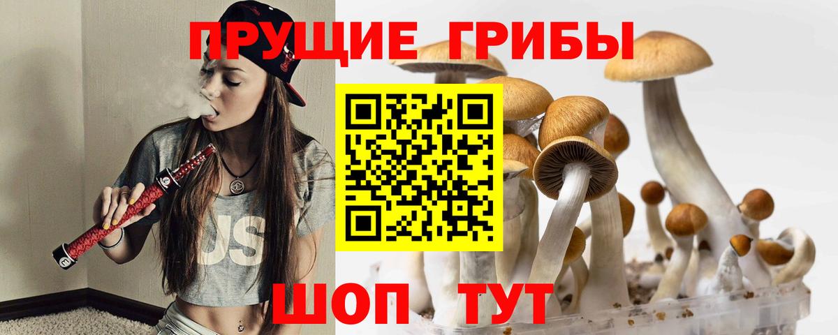 Псилоцибиновые грибы GOLDEN TEACHER Бердск
