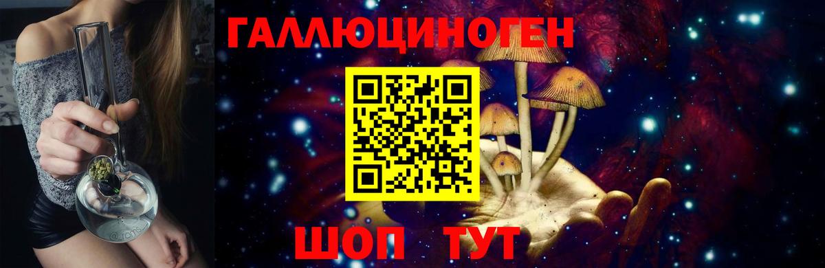 Галлюциногенные грибы Psilocybe Бердск