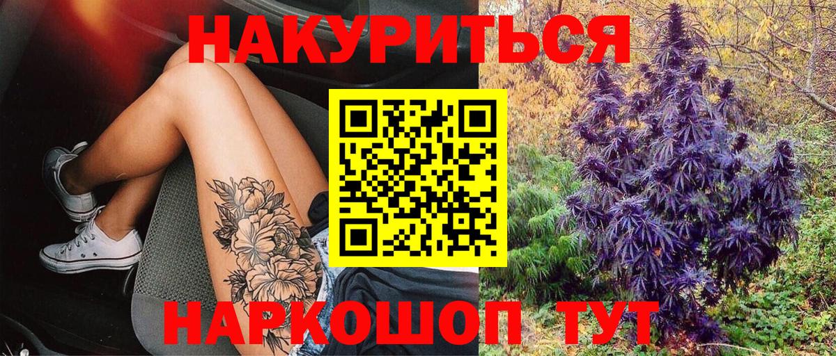 Бошки марихуана конопля  Вход с VPN  Канабис OG Kush  Бердск  Каннабис марихуана 