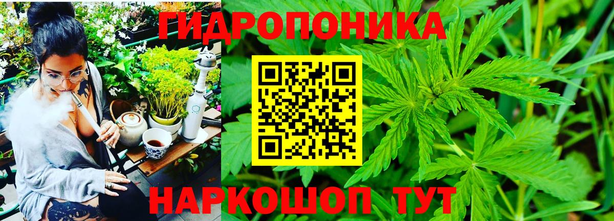Каннабис MAZAR Бердск